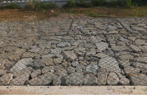 高爾凡雷諾護墊