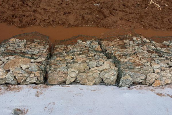 單隔板雷諾護墊