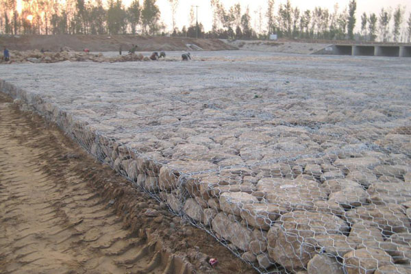 雙隔板雷諾護墊