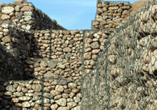 成功案例 成功案例