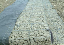 成功案例 成功案例